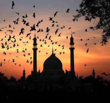 Remembering Loved Ones